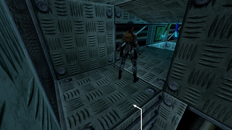 Tomb Raider Chronicles Remastered screenshot