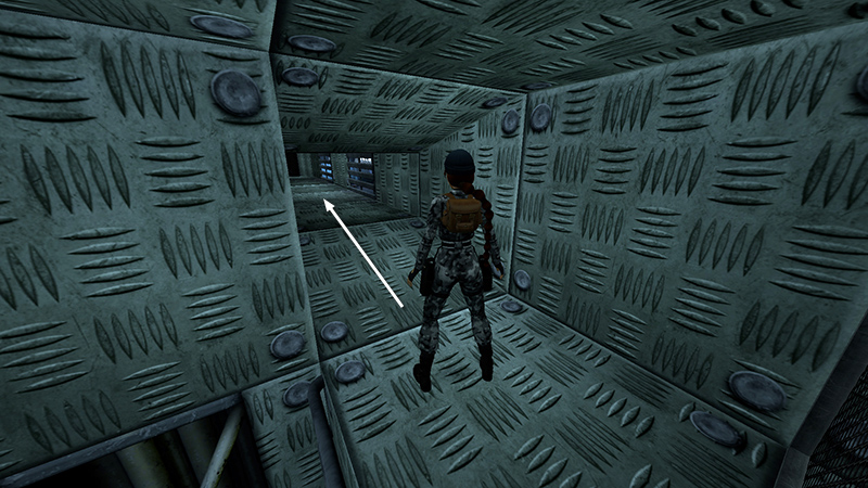 Tomb Raider Chronicles Remastered screenshot