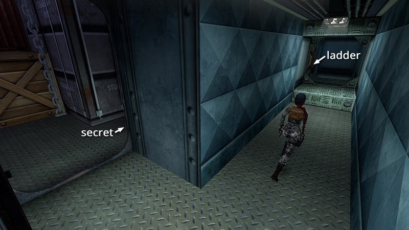 Tomb Raider Chronicles Remastered screenshot